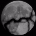 월랑::롤플레잉 추리게임