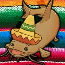 Sanmedina Official Server