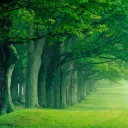 Australia • Archaic • Gaming • Active • Aus • Oceania • America • Europe • Uk discord icon