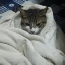 お布団LOVERSฅ•ω•ฅ