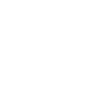 Black Wolf Company