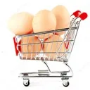 Eggs Where They Shouldn’t Be