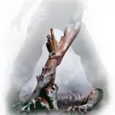 OBSRV Beginners Discord