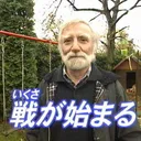 Steam交流所