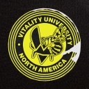 TEAM VITALITY icon