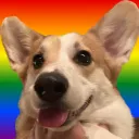 Katie's Discord