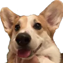 Katie's Discord