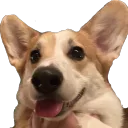 Katie's Discord
