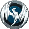 Storm Hawks