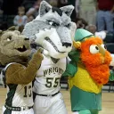 WSU POGO