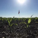 buch Discord server icon