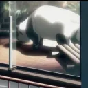 Panda's Hideout