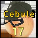 Cebule 17