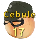 Cebule 17