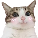 ClanDuChat