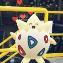 Southfield POGO