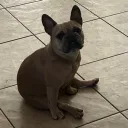 NIKO