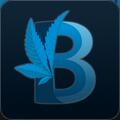 Basemental Mods Discord Server Icon