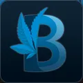 Basemental Mods