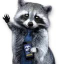 Raccoon Army