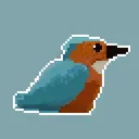 Spoogle's Emote Emporium