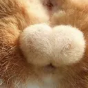 ωさぶをのω直売所ω