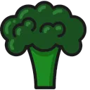 VeggieCoin
