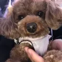 まいちゃんファンクラブ