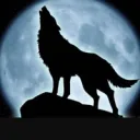 Night Wolf