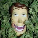 La bolacha de MinKo