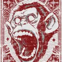 Ape Gang