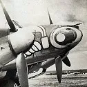 Zerstörergeschwader 1 "Wespe"