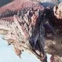MHWお楽しみ部