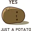 Potatos Still Rule