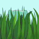 The Tall Grass🌾