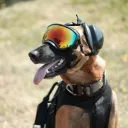 MWDU (Military Working Dogs United)