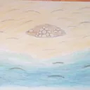 Turtle Nest