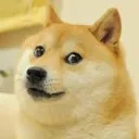 Dogecoin-Ecommerce-Developers