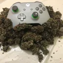 SO STONED GAMING