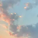 ste