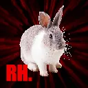 Rabbit Holes