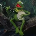 Kermits Gay