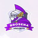 BroSena eSports icon