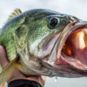 The Cult of the Bass Pro Shop