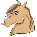 The Horses Club