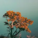 <3