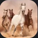 Whispering Constellation Herd