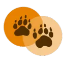 🐯 Saullée - Animaux et Attractions🐻