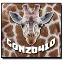 gonzo410 Gaming