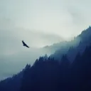 lonely